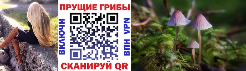 Галлюциногенные грибы прущие грибы  Себеж 